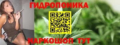 СК Пенза