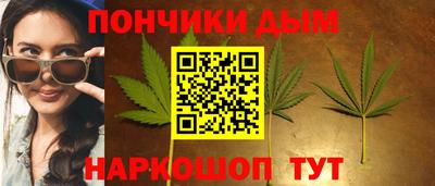 гидропоника Пугачёв