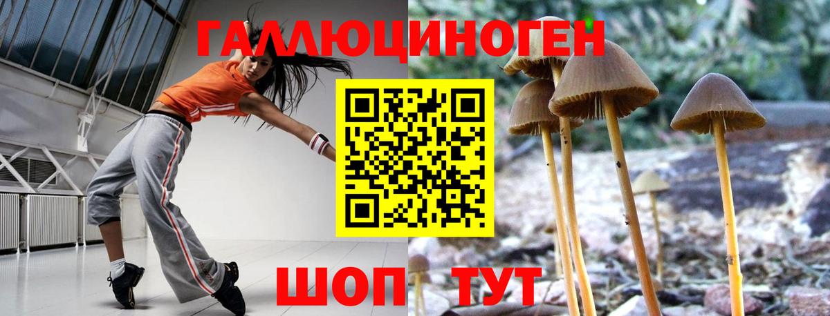 Сланцы  Псилоцибиновые грибы Cubensis  Псилоцибиновые грибы Magic Shrooms  Вход с VPN 